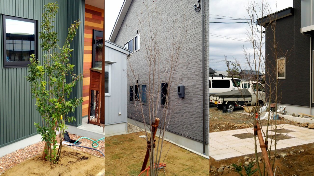 植木の植え込み施工事例-坂井市-福井県でよく使われるシンボルツリー3本